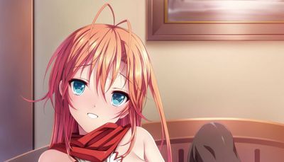 キュリオディーラー げっちゅ屋特典 B2タペストリー /瀬之本久史/未開封拍卖