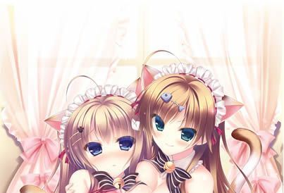 にゃんカフェマキアート ソフマップ特典 B2タペストリー/ゆき恵 /未開封拍卖