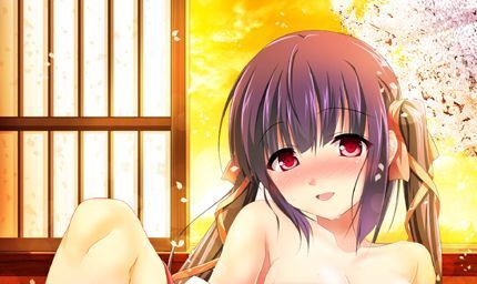 桜花裁き ソフマップ特典 B2タペストリー /未開封拍卖