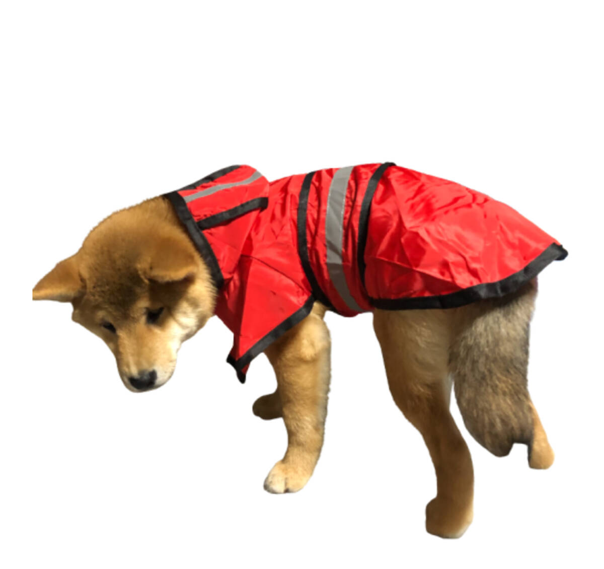 新品●送料無料●犬 レインコート サイズ3XL 赤 レッド フード付き 着脱超簡単 雨の日のおさんぽも楽しい拍卖