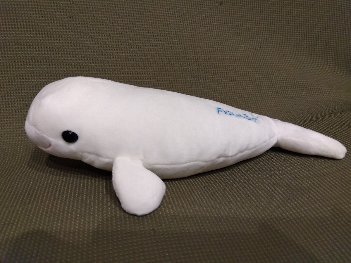 AQUAS アクアス シロイルカ ぬいぐるみ拍卖