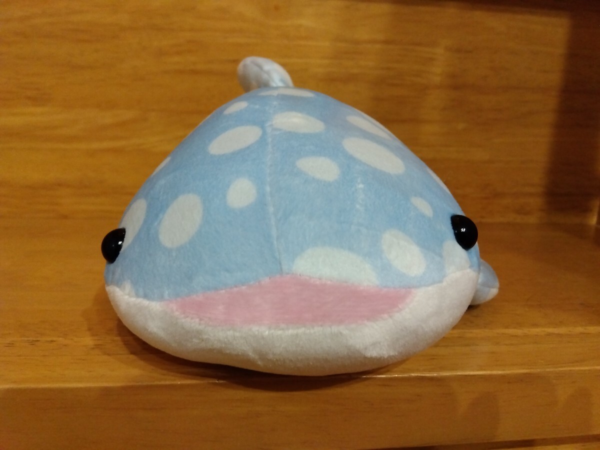 海遊館 ジンベイザメ ぬいぐるみ 全長約28cm拍卖