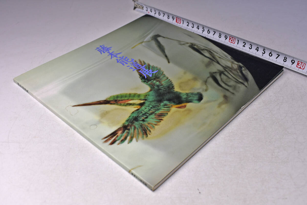 藤本能道 展 ★ 青梅市立美術館 ★ 昭和63年 ★ 図録 ★ 中古品 ★拍卖