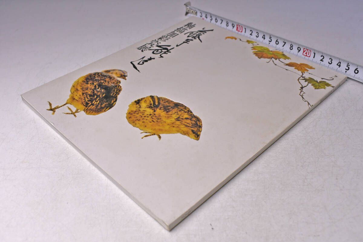 藤本能道 釉描加彩瓷展 ★ 昭和61年 ★ 日本橋高島屋 ★ 図録 ★ 中古品 ★ B拍卖