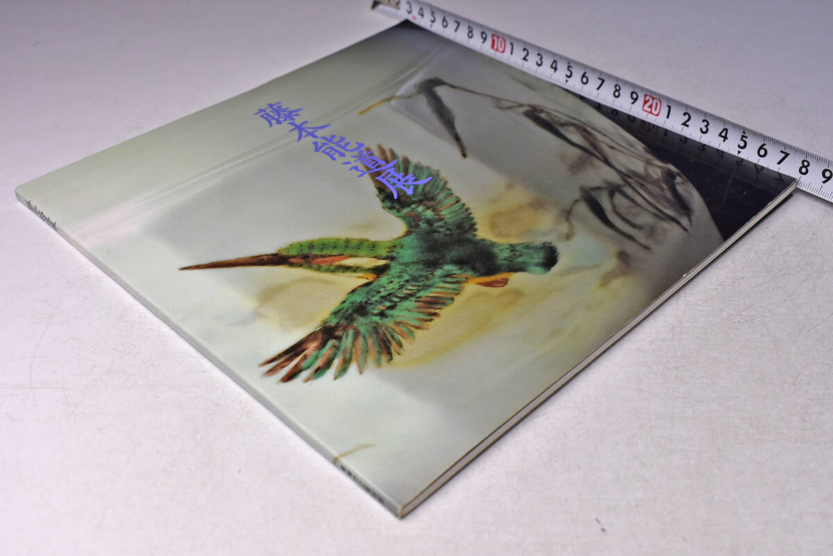 藤本能道 展 ★ 青梅市立美術館 ★ 昭和63年 ★ 図録 ★ 中古品 ★ B拍卖