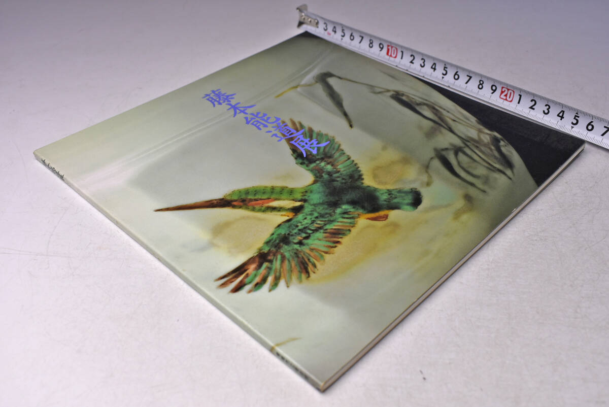 藤本能道 展 ★ 青梅市立美術館 ★ 昭和63年 ★ 図録 ★ 中古品 ★ C拍卖