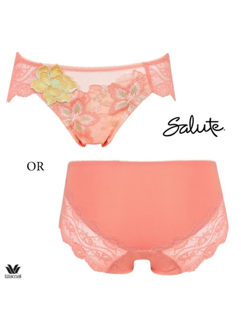 新品・タグ付き☆ワコール☆サルート☆86G・リボンの騎士☆OR☆サニタリーショーツM拍卖