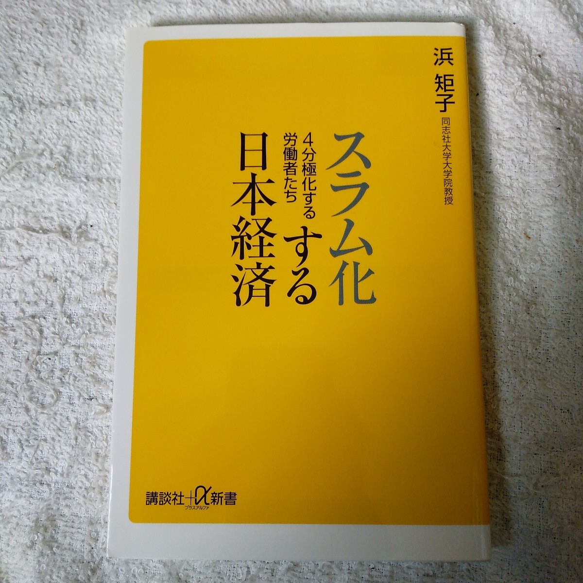 スラム化する日本経済 4分極化する労働者たち (講談社+α新書) 浜 矩子 9784062725637拍卖