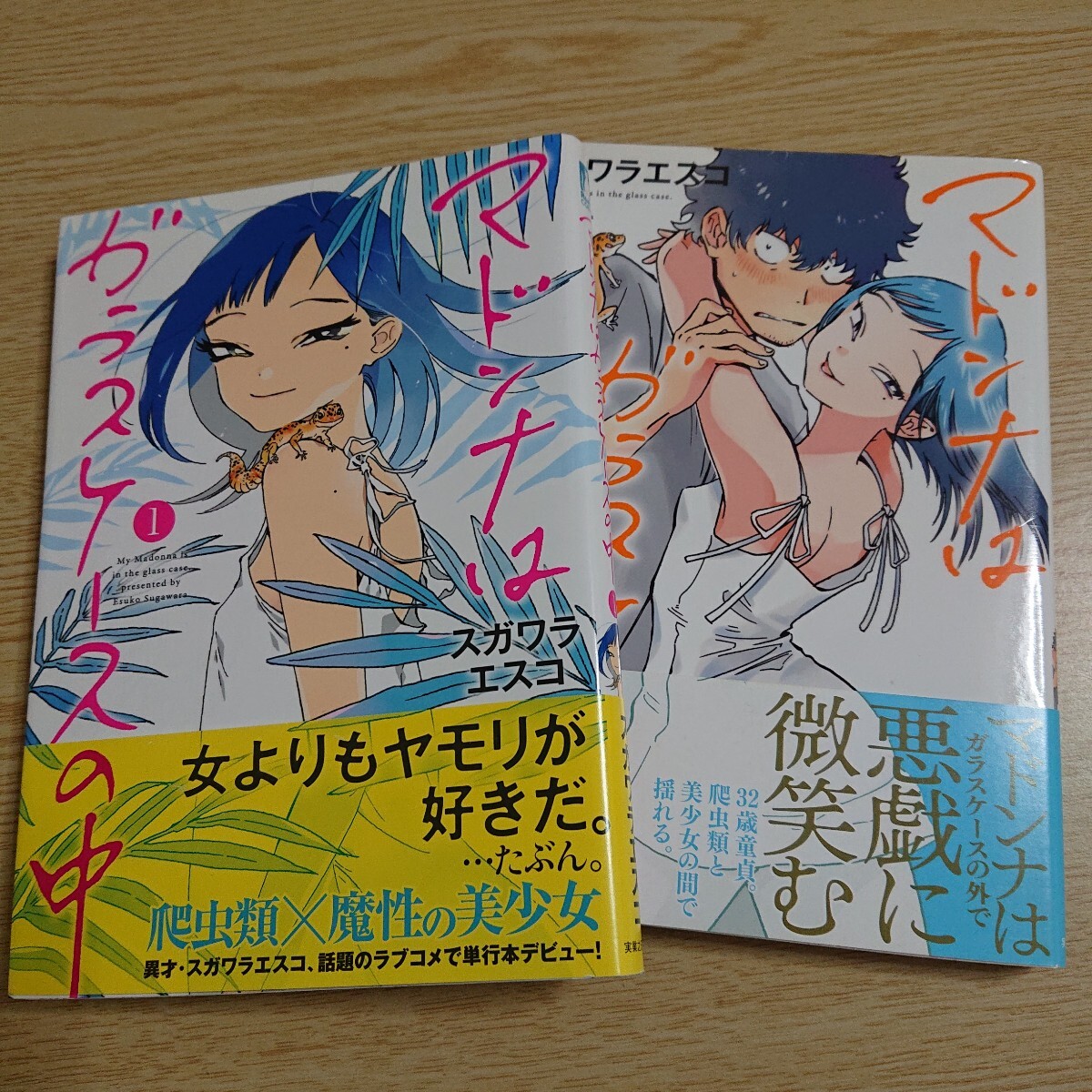 マドンナはガラスケースの中 1-2巻 2冊セット (Ruelle COMICS) スガワラエスコ/著拍卖