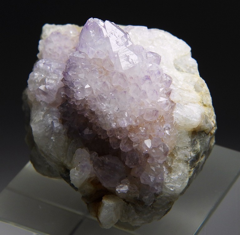 ☆☆ カクタスアメシスト <南ア> 274 ☆☆拍卖