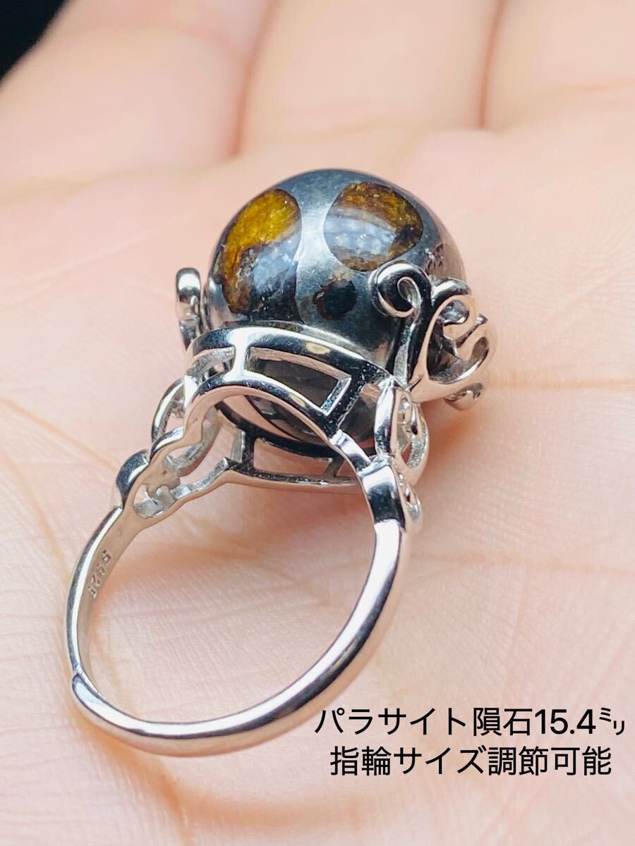 パラサイト隕石 指輪360回転 15.4㍉ メテオライト サイズ調整可能 最高品質 セリコ隕石 メテオライトジャパン 拍卖