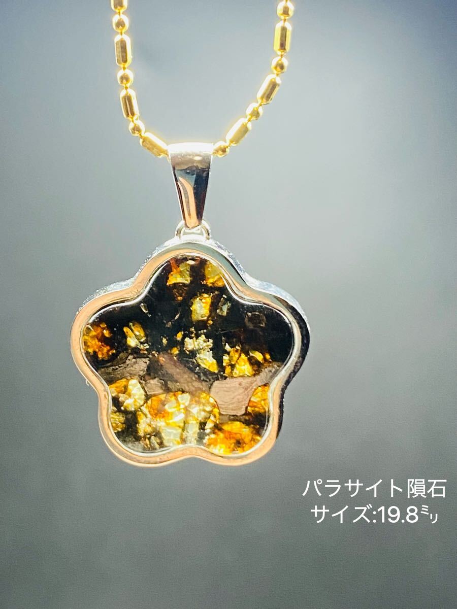 パラサイト隕石 19.8㍉ 隕石 石鉄隕石 ネックレス セリコ隕石 メテオライトジャパン パラサイト拍卖