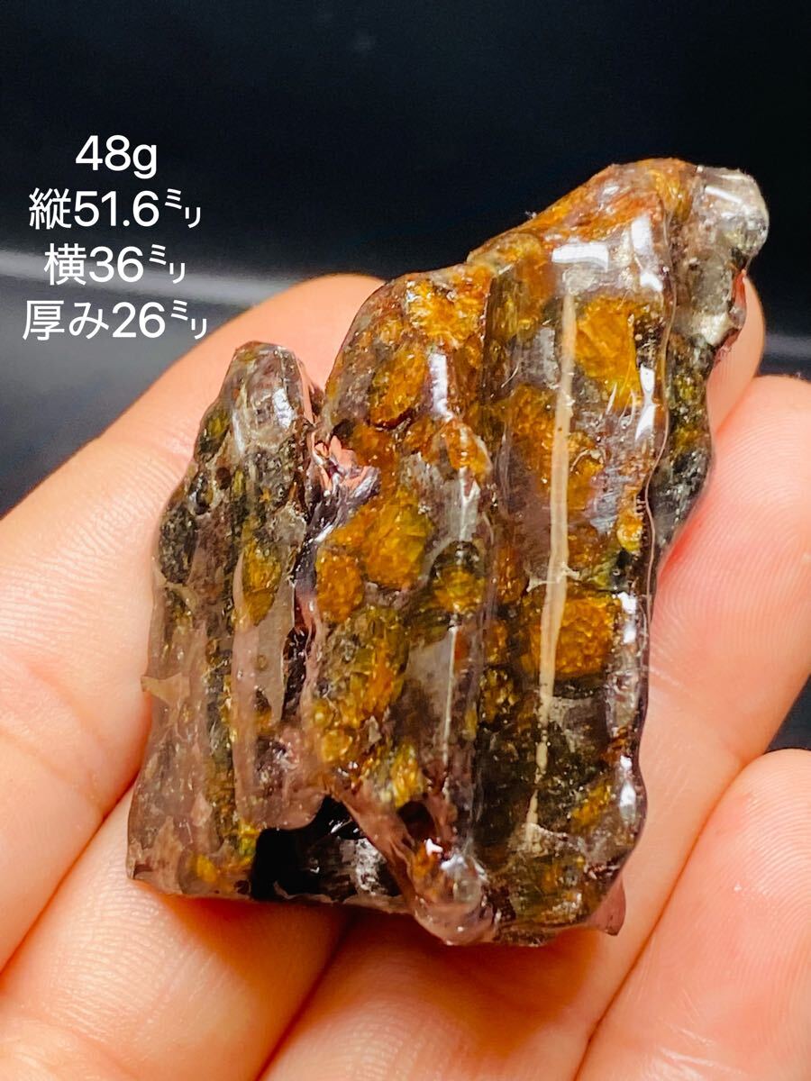 パラサイト隕石 48g 51.6㍉ 隕石 筆立て セリコ隕石 隕石 石鉄隕石 メテオライトジャパン 隕石原石 コーティング済み パラサイト 拍卖