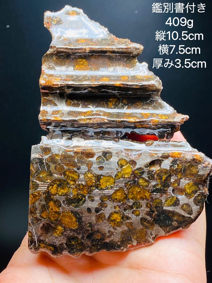 鑑別書付き パラサイト隕石 409g 隕石 鉄隕石 コーティング済み メテオライト 宇宙隕石 セリコ隕石 高品質 隕石原石 パラサイト105㍉筆立て拍卖