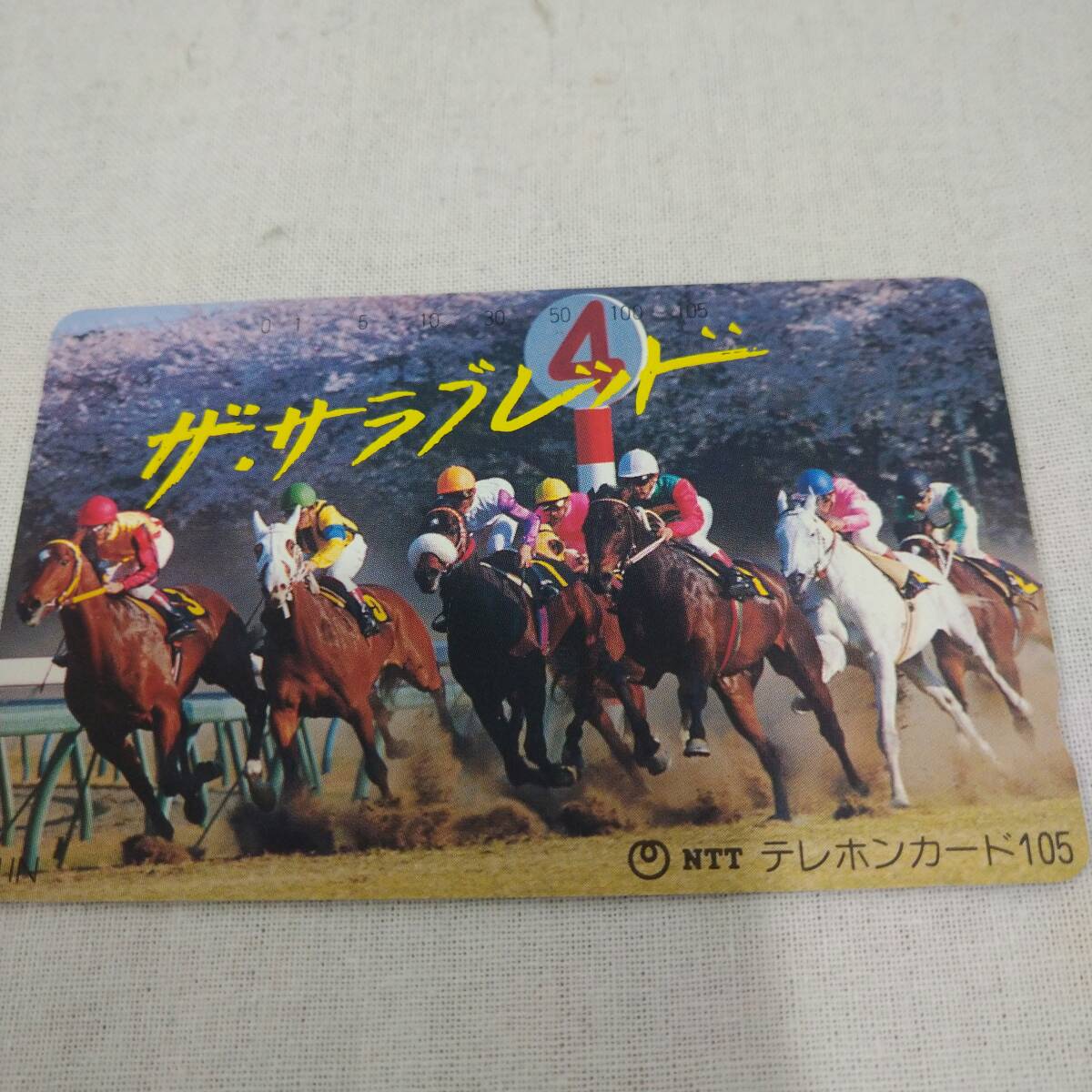 【希少】競馬 ザ・サラブレッド テレカ 105度【テレホンカード 当時物 名馬 ウマ娘 動物 JRA コレクション レア 貴重】58拍卖