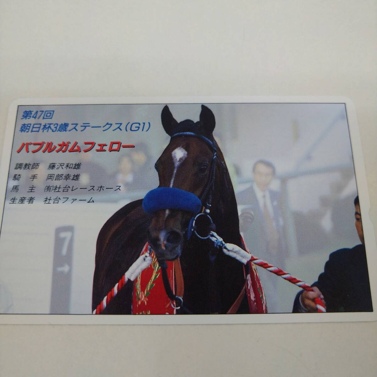 【希少】第47回 朝日杯3歳ステークス(G1) バブルガムフェロー テレカ 50度【テレホンカード 当時物 競馬 ウマ娘 コレクション レア】75拍卖