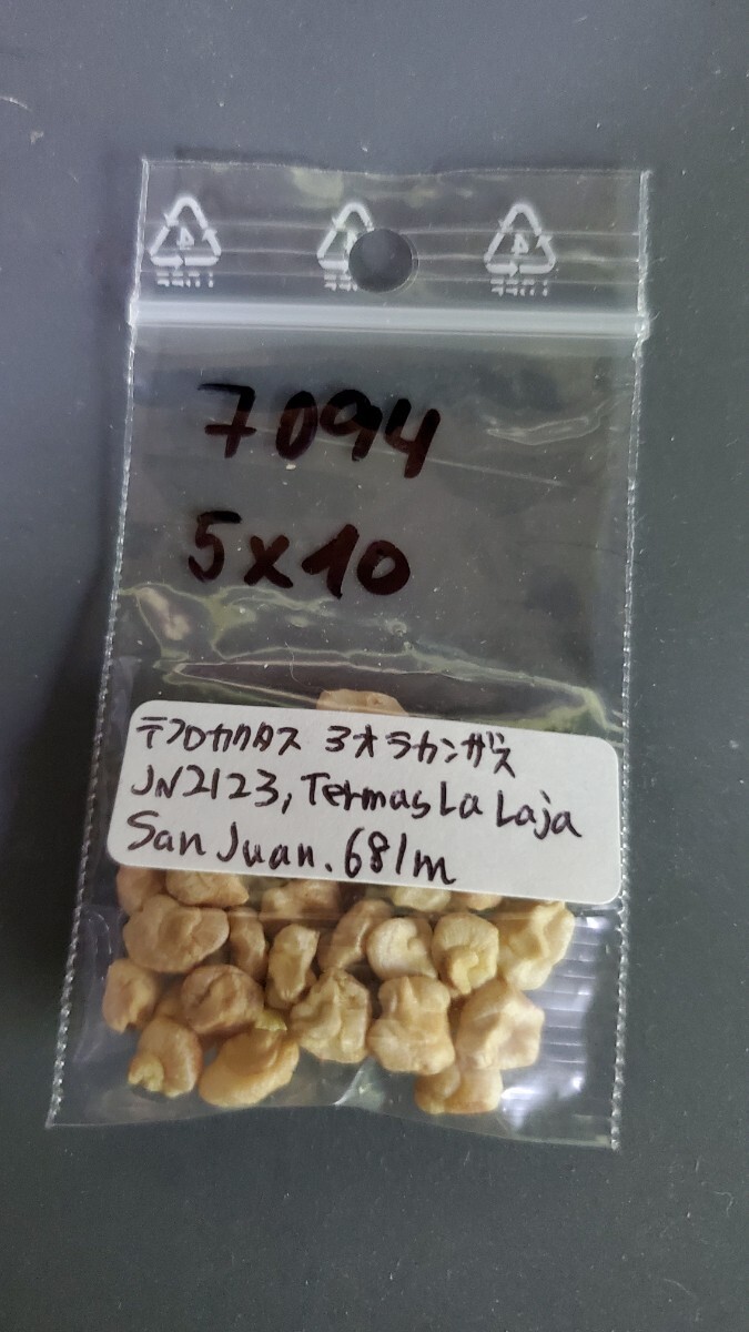 テフロカクタス アオラカンザス JN2123 種子5粒拍卖