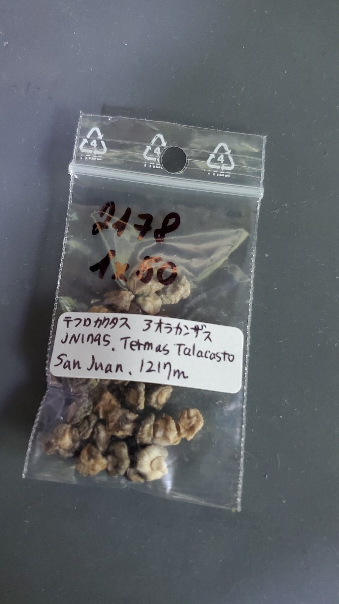 テフロカクタス アオラカンザス JN1795 種子5粒拍卖