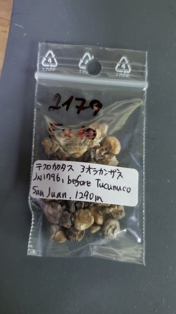 テフロカクタス アオラカンザス JN1796 種子5粒拍卖