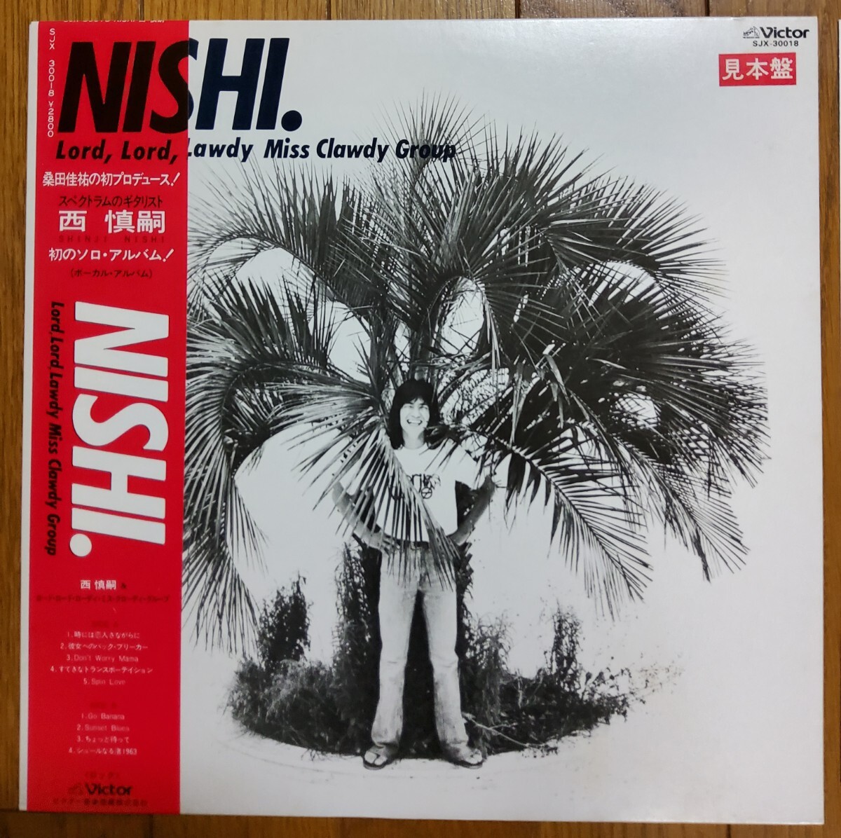 【レア見本盤】西慎嗣 スペクトラム 桑田佳祐プロデュース LP レコード拍卖