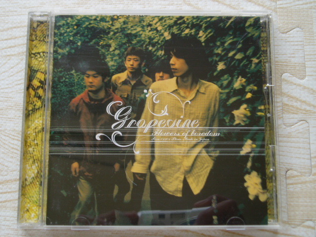GRAPEVINE グレイプバイン/退屈の花 全10曲 拍卖