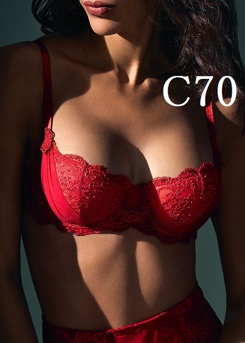 C70☆Aubade オーバドゥ A L'amour 高級海外ランジェリーブラ拍卖