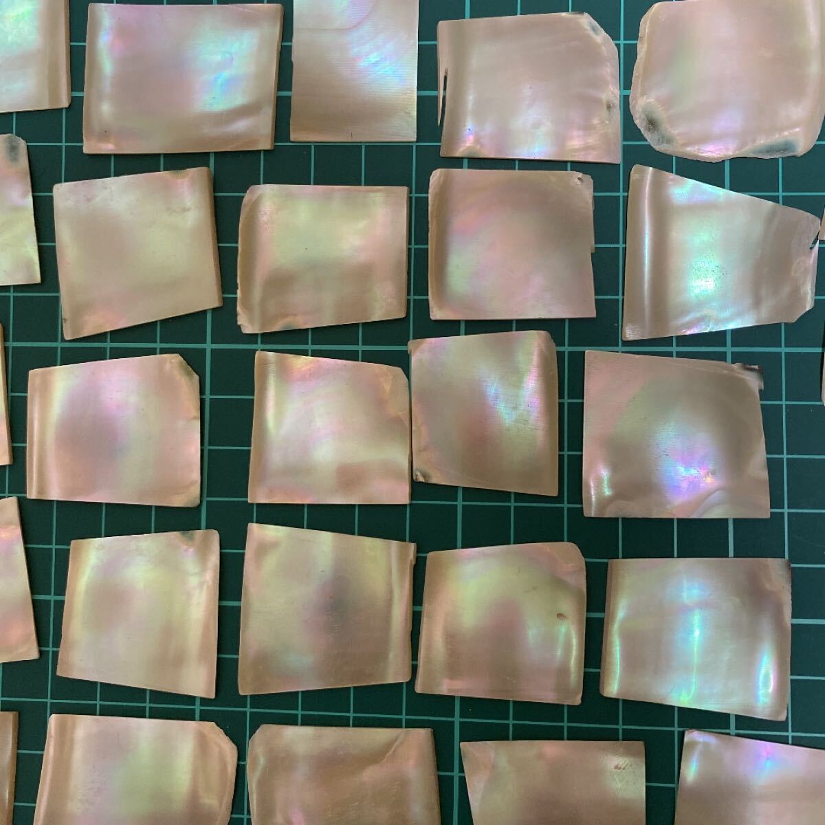 夜光貝 スライス 10枚セット 螺鈿細工 ハンドメイド ハンドクラフト 拍卖