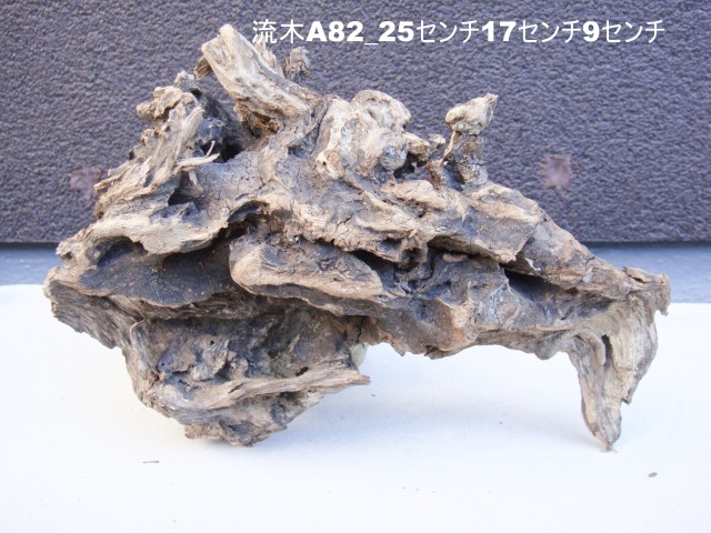 流木A82_25センチ17センチ9センチ拍卖