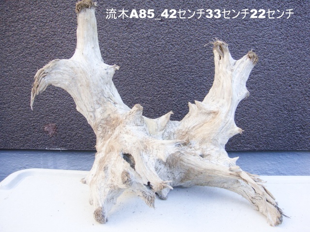 流木A85_42センチ33センチ22センチ拍卖