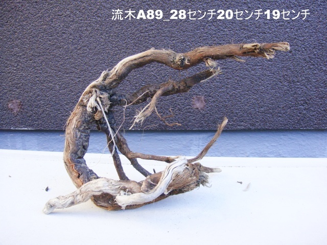 流木A89_28センチ20センチ19センチ拍卖