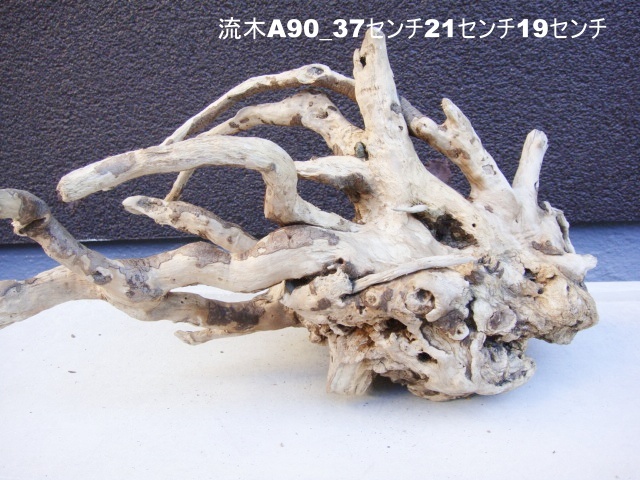 流木A90_37センチ21センチ19センチ拍卖