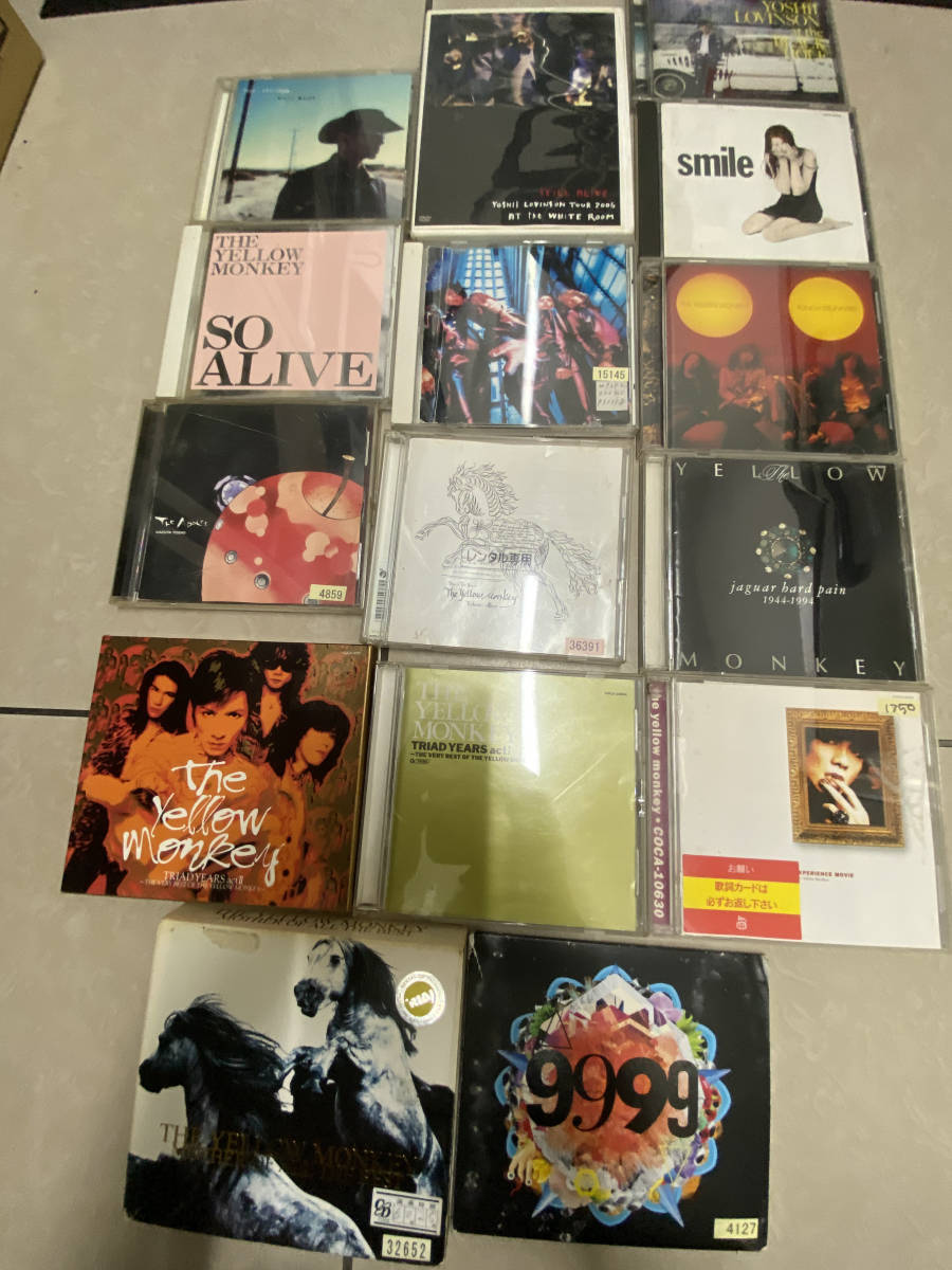吉井和哉 アルバム+YOSHII LOVINSON 2DVD+アルバム +THE YELLOW MONKEY ベストアルバム アルバム ライブ盤 トリビュート 15枚拍卖