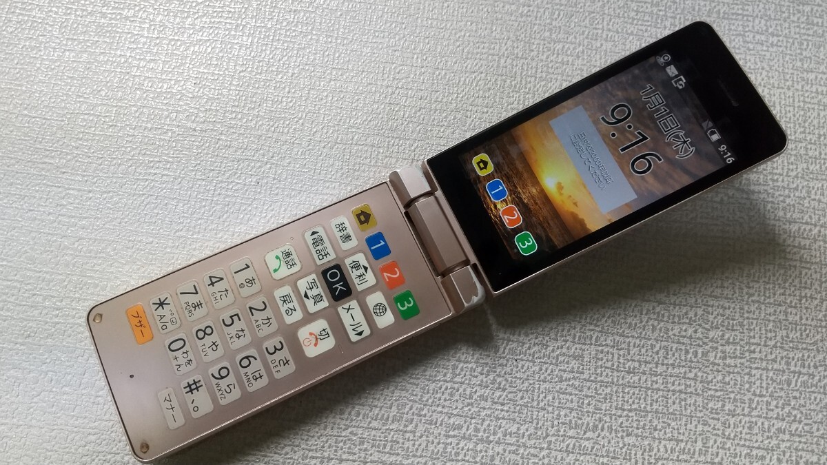 S1445 Softbank SIMフリー かんたん携帯10 807SH SHARP 4Gガラホ 簡易確認&初期化OK 判定○ 送料無料 WebにてSIMロック解除受付手続済み拍卖