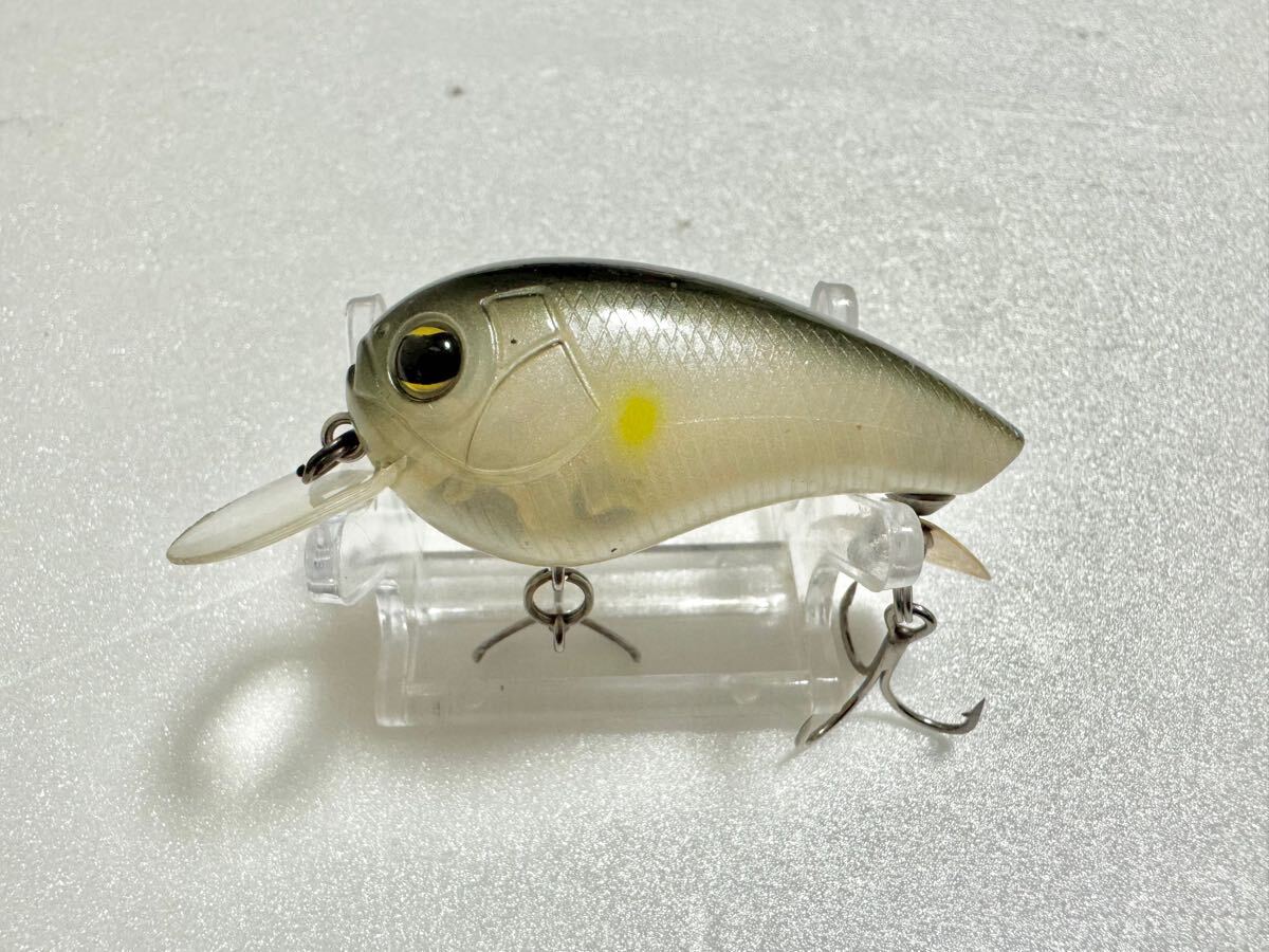 ★イマカツ★ ワドルバッツ ダイブ IMAKATSU 今江克隆 三原直之 ビッグバッツ バトルバッツ リトルバッツ 千鳥 モグラチャター拍卖