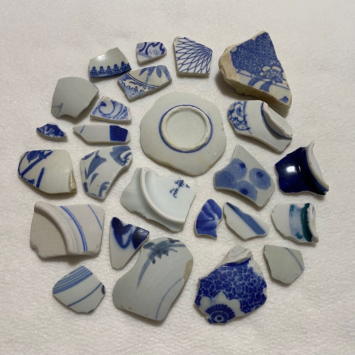 ★☆シートウキ 350g S910 瀬戸内海 にて採取しました!!!カラフルセット☆★ 拍卖