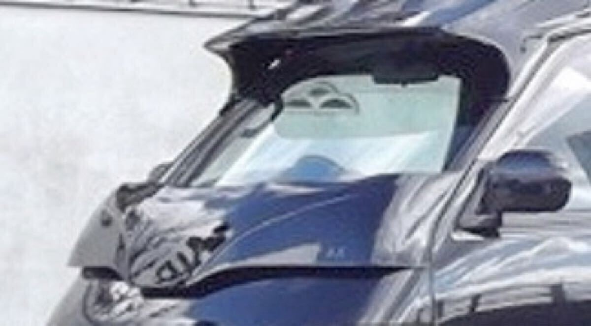 引き取り限定 廃番商品につき希少 ハイエース バニング 100系 ワイパーガード セカンドハウス ズーム zoom エアロ拍卖