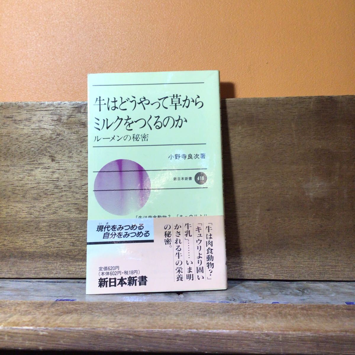 牛はどうやって草からミルクをつくるのか 小野寺良次 帯付 新日本新書拍卖