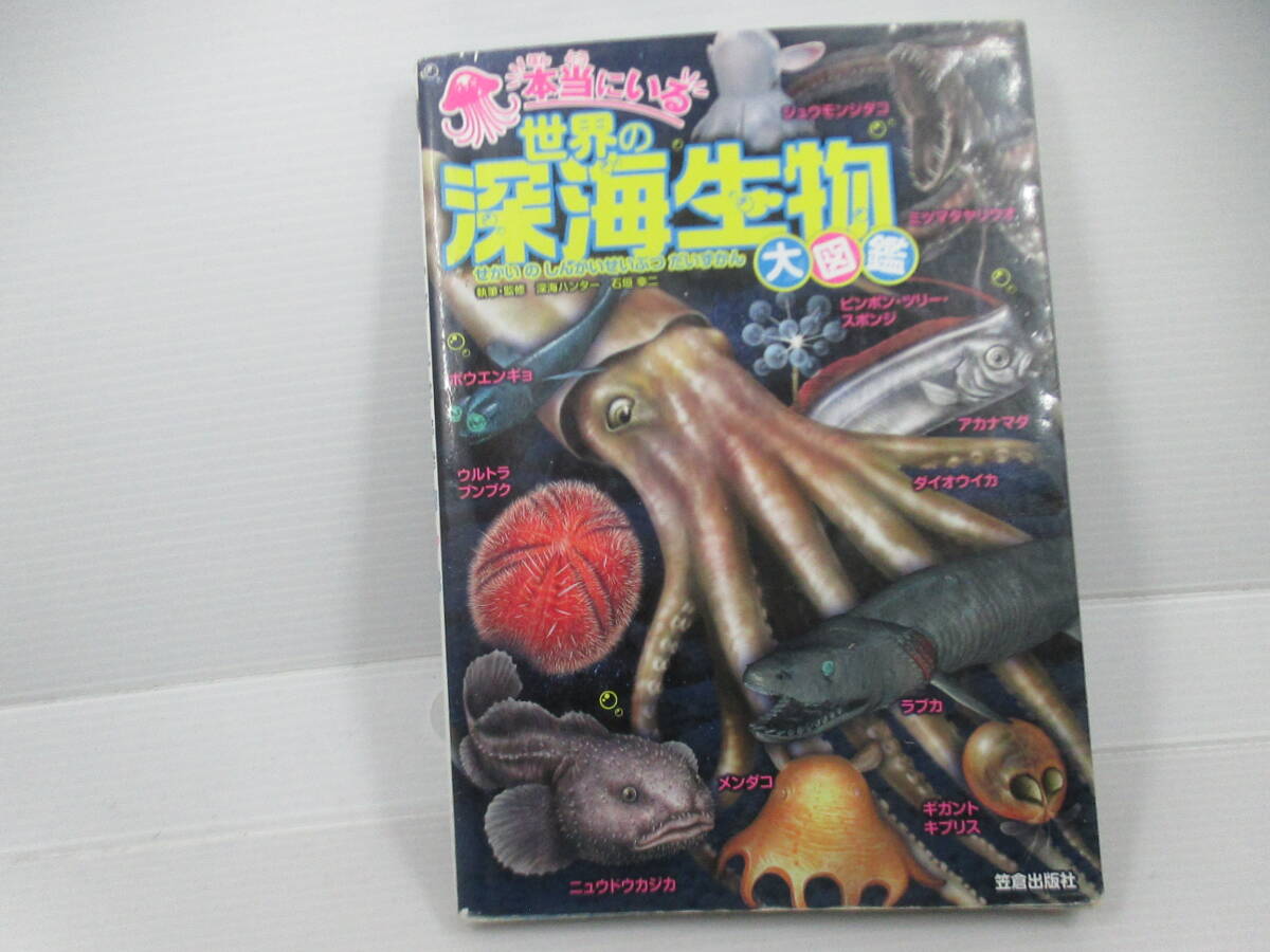 ◆単行本「本当にいる世界の深海生物大図鑑 石垣幸二」拍卖