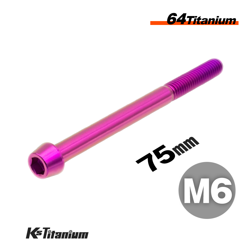 チタンボルト M6×75 スレッド25mm P1.0 テーパーボルト パープル 1本 64チタン M6 バイク レストア パーツ拍卖