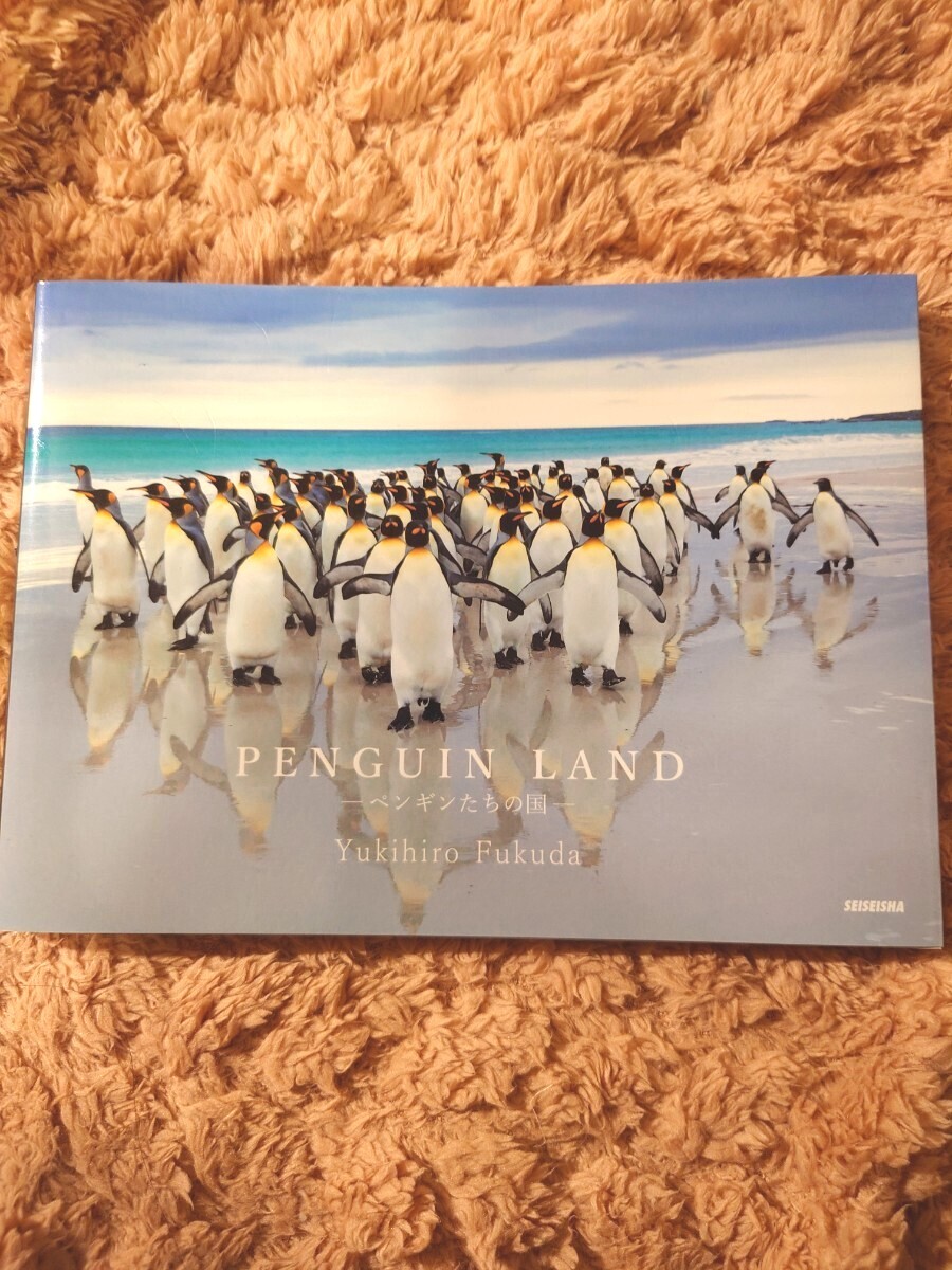 PENGUN LAND-ペンギンたちの国-福田幸広拍卖