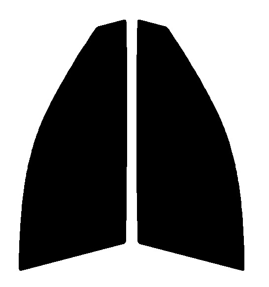 NS-020HC 運転席・助手席 レクサス IS E20・E25・E21 カット済みカーフィルム拍卖