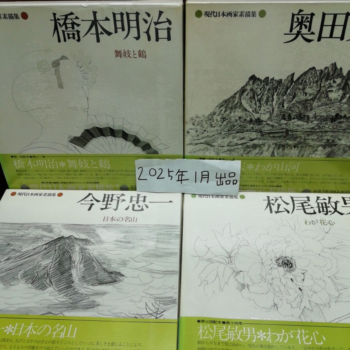 Ffまとめ2-088/ 現代日本画家素描集 10巻セット(11巻~20巻) 巻数不揃い 舞妓と鶴 わが山河 日本の 名山 わが花心/L11/20250120/拍卖