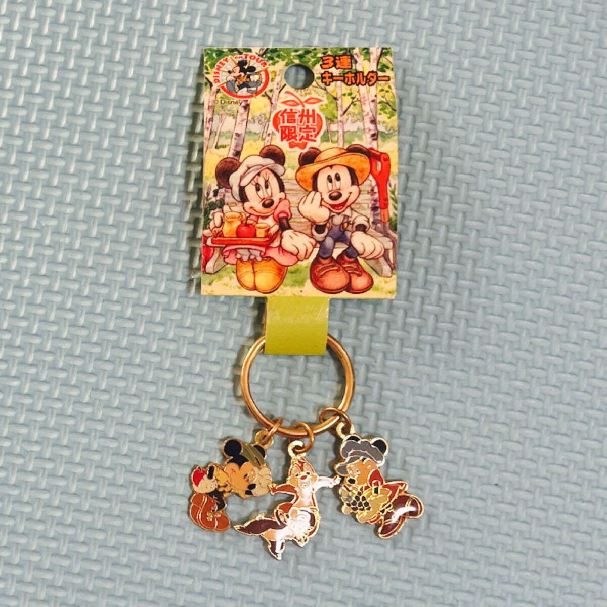 未使用 信州限定 ミッキー ミニー チップ メール キーホルダー ディズニー拍卖