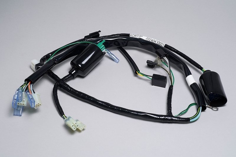 エイプ50 ape50 メインハーネス・ワイヤーハーネス拍卖