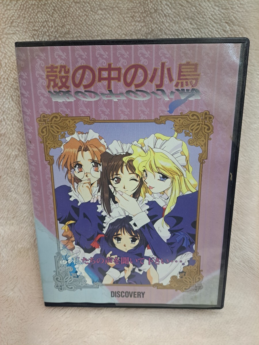 殻の中の小鳥 DISCOVERY Windows95 アダルトゲーム PCソフト 【25/01 E-1】拍卖