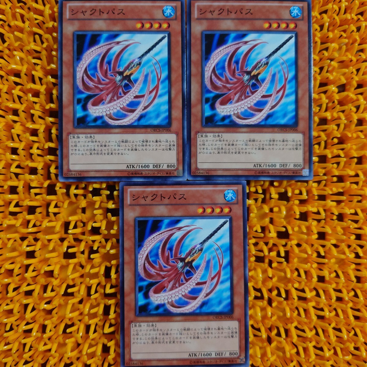 遊戯王 傷あり シャクトパス 3枚拍卖