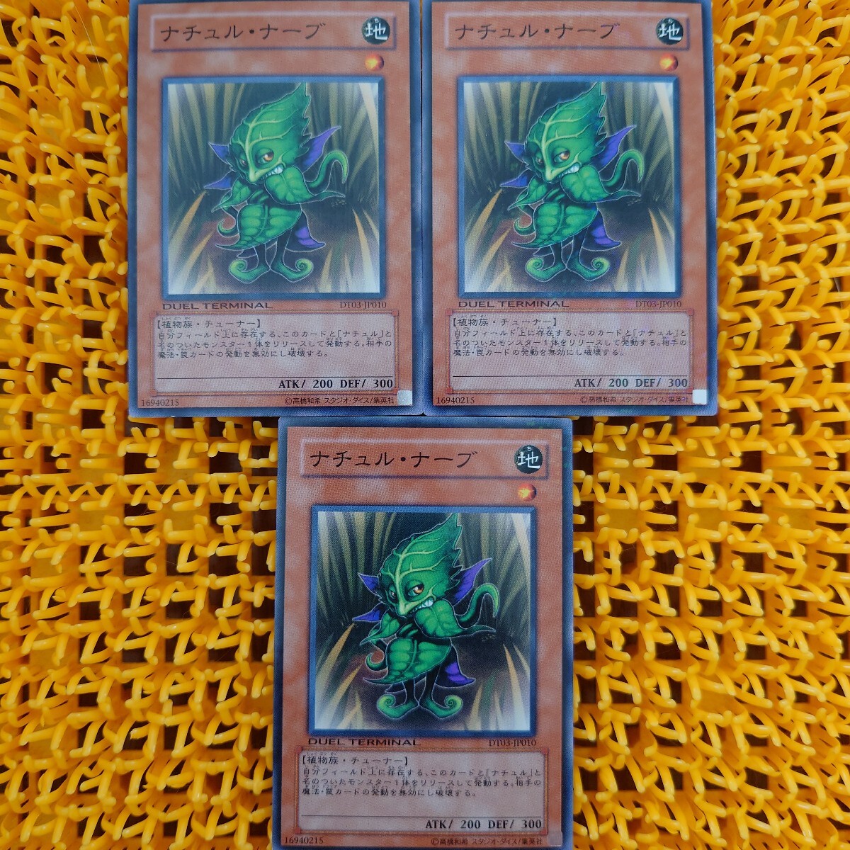 遊戯王 傷あり ナチュル・ナーブ 3枚拍卖