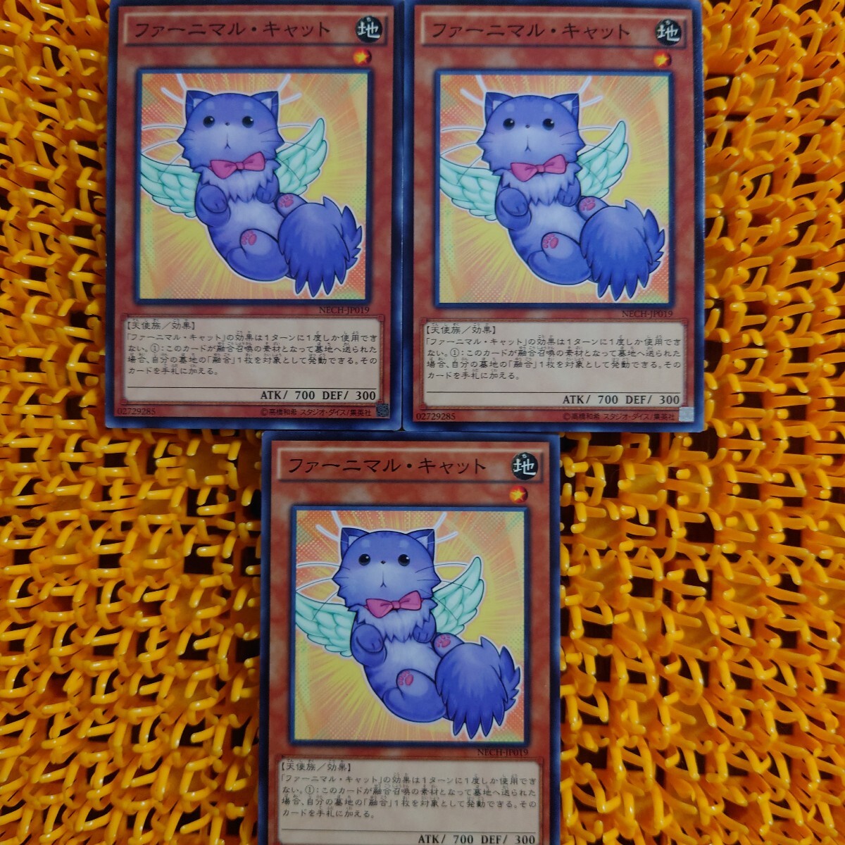 遊戯王 傷あり ファーニマル・キャット 3枚拍卖