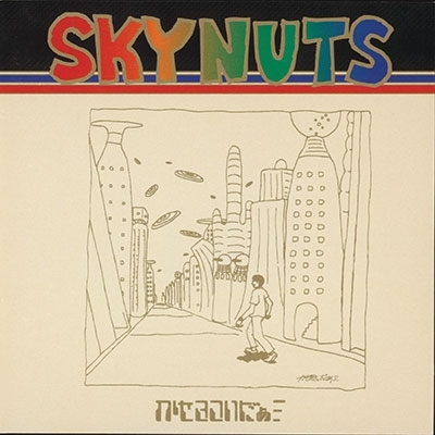 ◆新品◆◆LP アナログ SKYNUTS かせきさいだぁ レコード ANALOG 拍卖