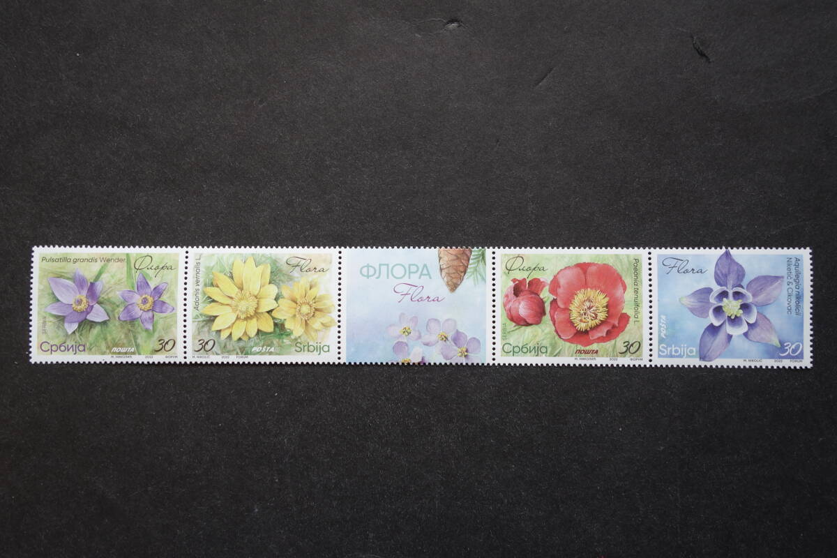 外国切手: セルビア切手 「花」タブ付き 4種連刷(プルサティラ・グランディス ほか)未使用拍卖